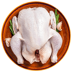Chicken